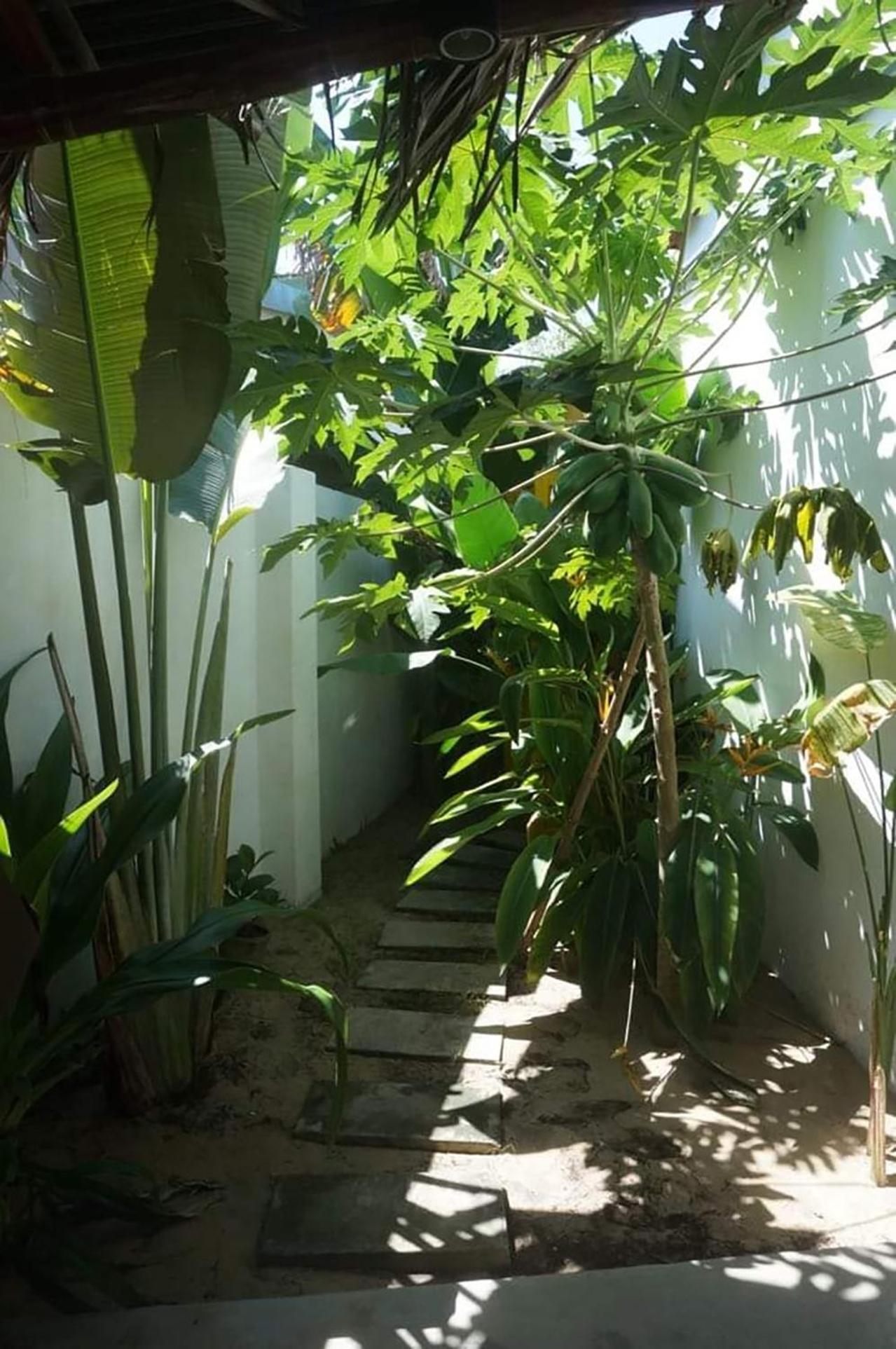 Be'S Beach House An Bang Hội An Szoba fotó